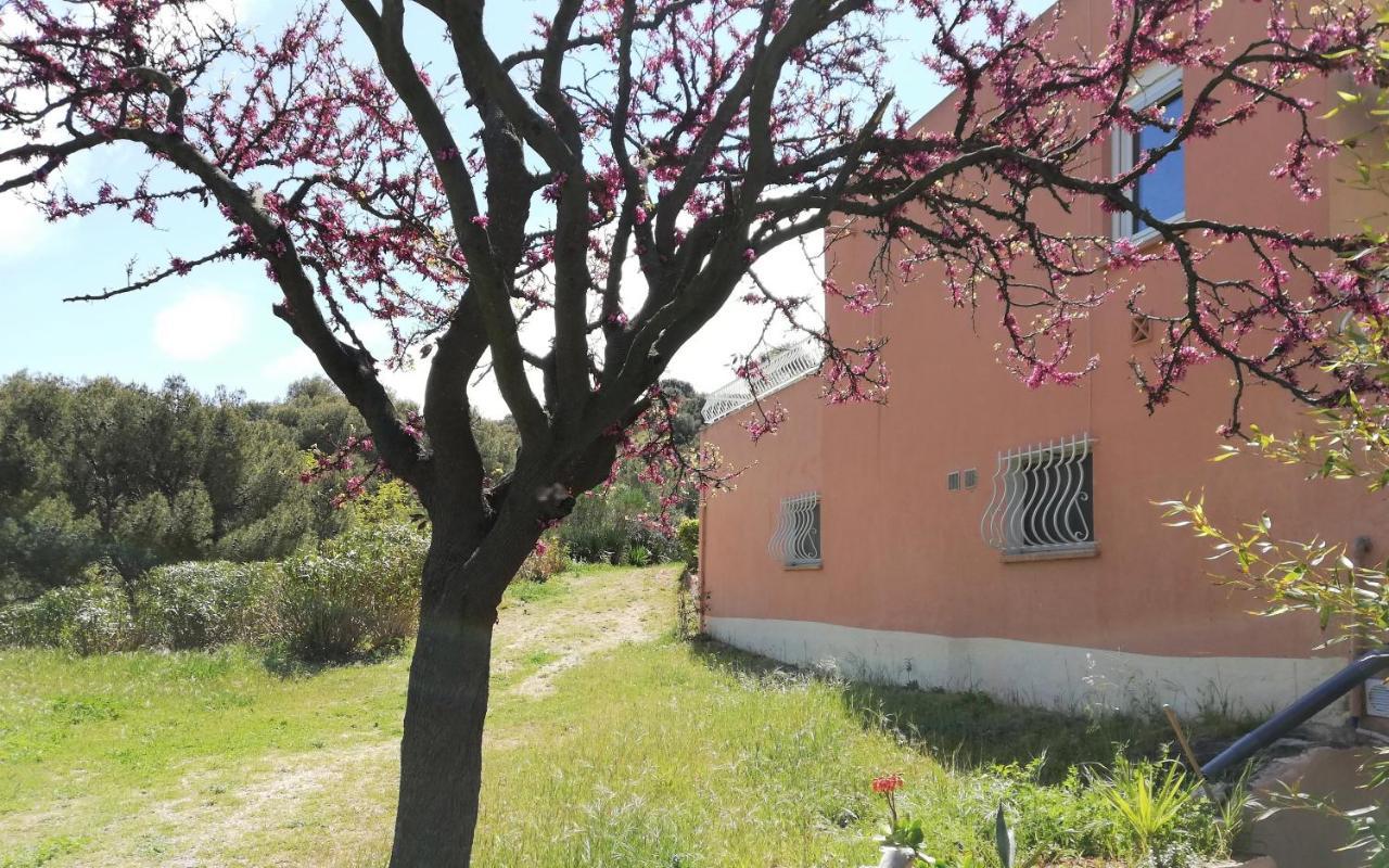 Studio 28M2 Climatise,Wifi, Proche Des Calanques,Plages La Ciotat Exterior foto